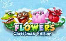 La slot machine Flowers Christmas